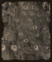 Каппадокия. 2006г. Тонирование сепией. 404х342. МРФ/МОК ОФ-2994 Ф-50/Сам